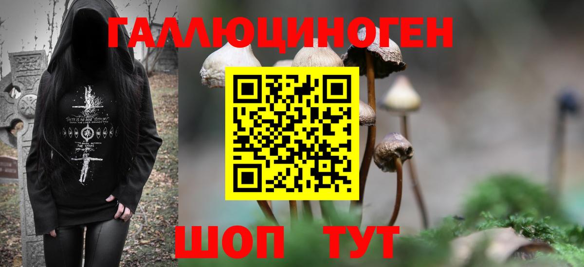 Галлюциногенные грибы Psilocybe Дивногорск